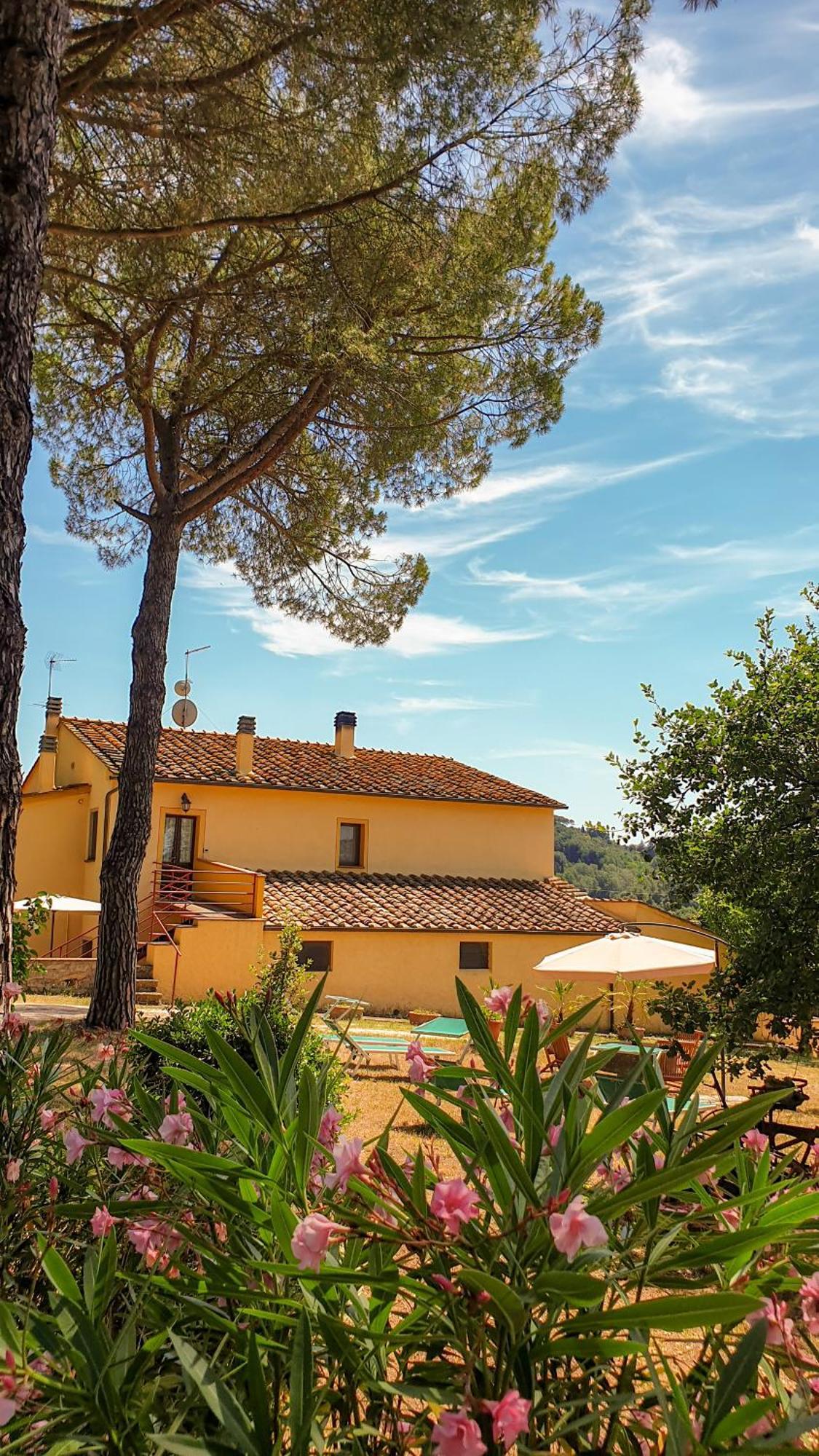 Agriturismo Podere Le Tombe Guest House Palaia Phòng bức ảnh